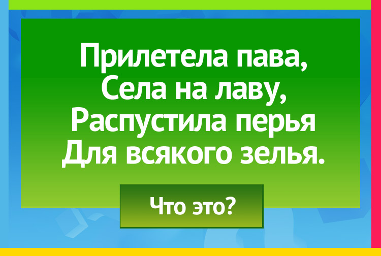 Загадка про Весну. Прилетела пава, Села на лаву, Распустила перья Для всякого зелья.