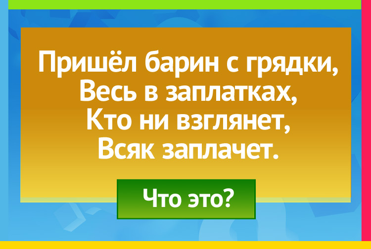 Пришёл барин с грядки, Весь в заплатках, Кто ни взглянет, Всяк заплачет.