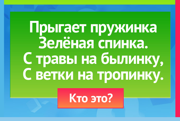 Загадка про кузнечика. Прыгает пружинка Зелёная спинка. С травы на былинку, С ветки на тропинку.