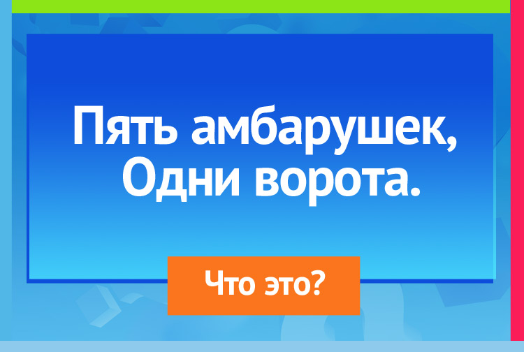 Загадка про перчатки. Пять амбарушек, Одни ворота.