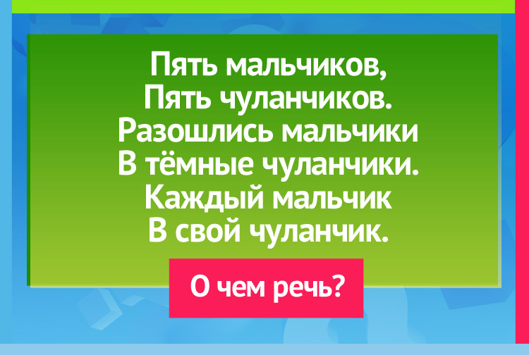 Загадка про Пальцы и перчатки. Пять мальчиков, Пять чуланчиков. Разошлись мальчики В тёмные чуланчики. Каждый мальчик В свой чуланчик.