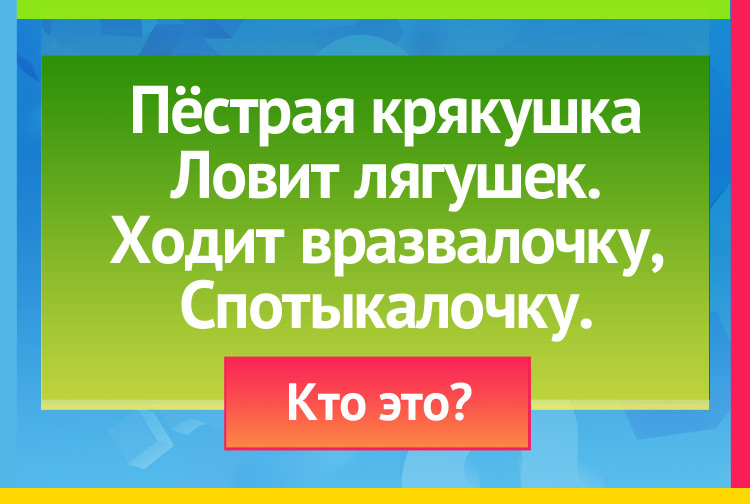 Загадка про утку. Пёстрая крякушка Ловит лягушек. Ходит вразвалочку, Спотыкалочку.