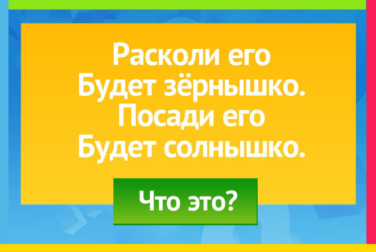 Загадка про Подсолнух. Расколи его Будет зёрнышко. Посади его Будет солнышко.