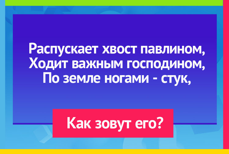 Загадка про Индюка. Распускает хвост павлином, Ходит важным господином, По земле ногами стук, Как зовут его?