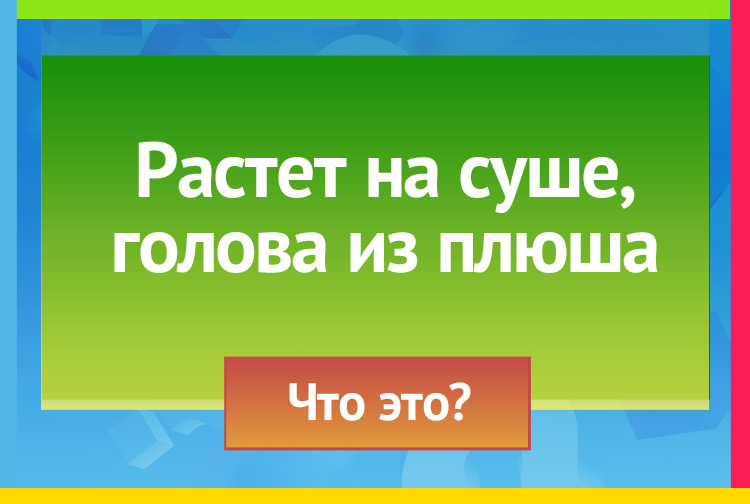 Загадка про Камыш, рогоз. Растет на суше, голова из плюша.