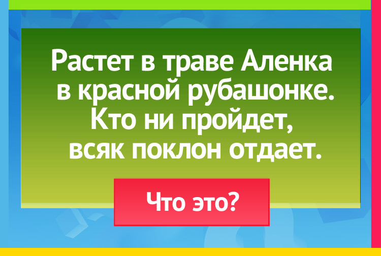 Загадка про Землянику. Растет в траве Аленка В красной рубашонке. Кто ни пройдет, Всяк поклон отдает.