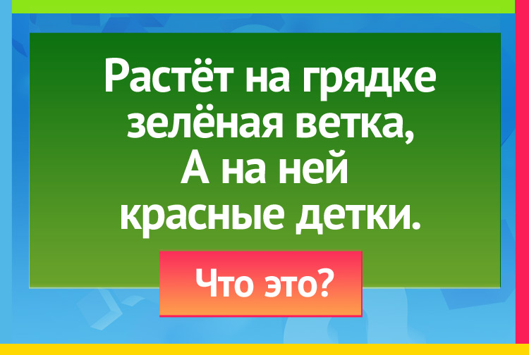 Загадка про Помидоры. Растёт на грядке зелёная ветка, А на ней красные детки.