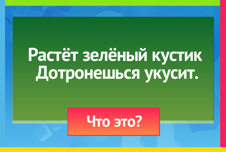 Загадка про Крапиву. Растёт зелёный кустик Дотронешься укусит.