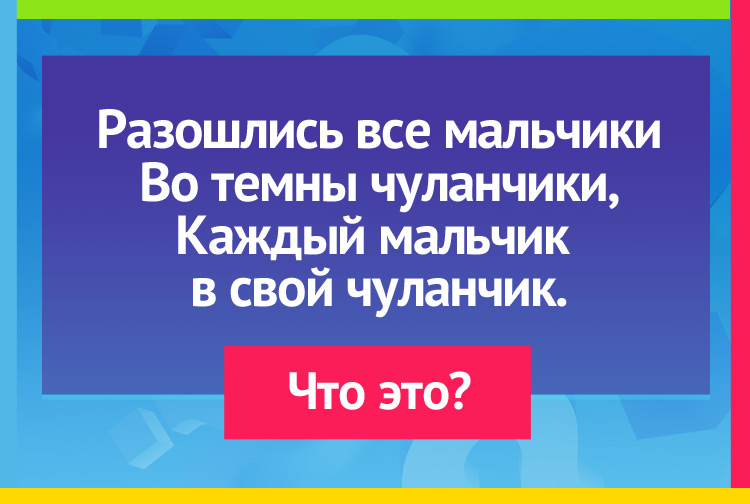 Загадка про перчатку. Разошлись все мальчики Во темны чуланчики, Каждый мальчик в свой чуланчик.