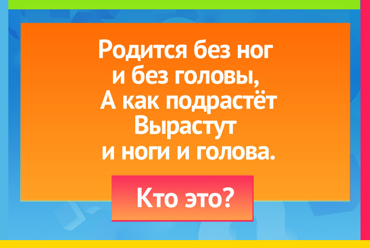 Загадка про цыпленка. Родится без ног и без головы, А как подрастёт - Вырастут и ноги и голова.