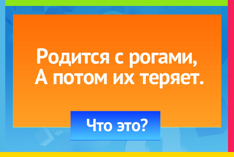 Загадка про месяц. Родится с рогами, А потом их теряет.