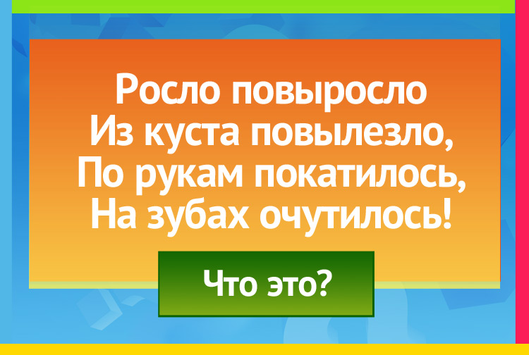 Загадка про орех. Росло повыросло Из куста повылезло, По рукам покатилось, На зубах очутилось!