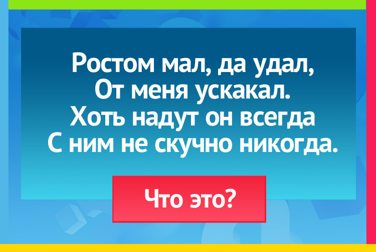 Загадка про Мяч. Ростом мал, да удал, От меня ускакал. Хоть надут он всегда С ним не скучно никогда.