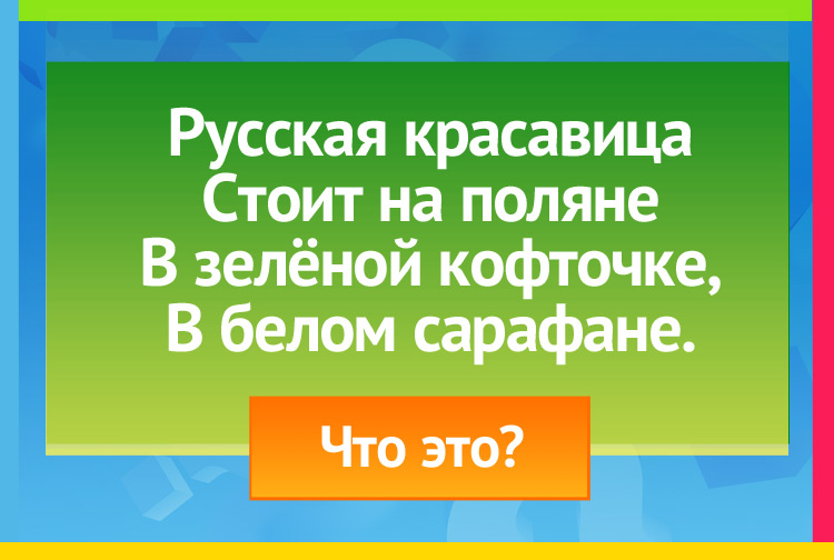 Загадка про березу. Русская красавица Стоит на поляне В зелёной кофточке, В белом сарафане.