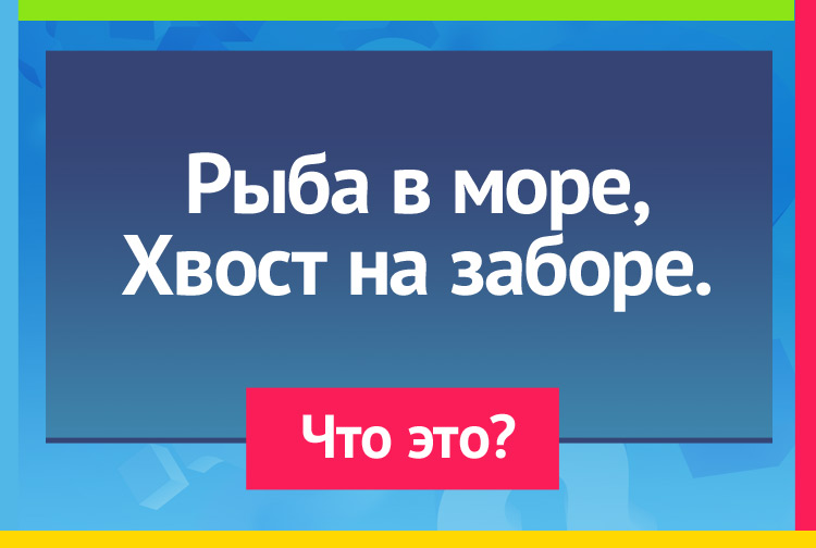 Загадка про Черпак. Рыба в море, Хвост на заборе.