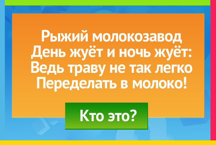 Загадка про корову. Рыжий молокозавод День жуёт и ночь жуёт: Ведь траву не так легко Переделать в молоко.