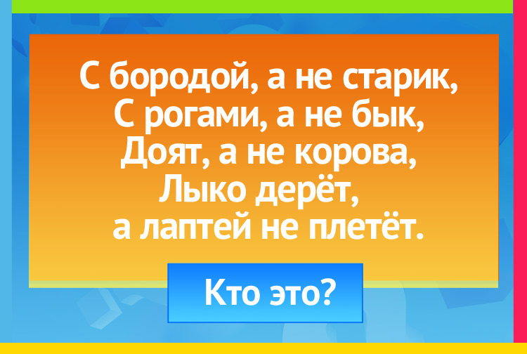 Загадка про козу. С бородой, а не старик, С рогами, а не бык, Доят, а не корова, Лыко дерёт,  а лаптей не плетёт.