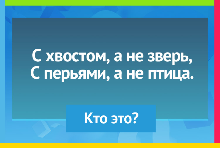 Загадка про рыбу. С хвостом, а не зверь, С перьями, а не птица.