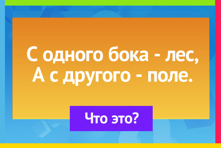 Загадка про шубу. С одного бока лес, А с другого поле.