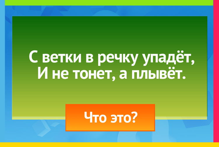 Загадка про лист. С ветки в речку упадёт, И не тонет, а плывёт.