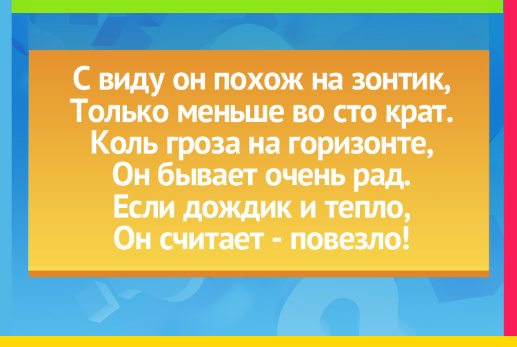 Загадка про Гриб. С виду он похож на зонтик, Только меньше во сто крат. Коль гроза на горизонте, Он бывает очень рад. Если дождик и тепло, Он считает - повезло!