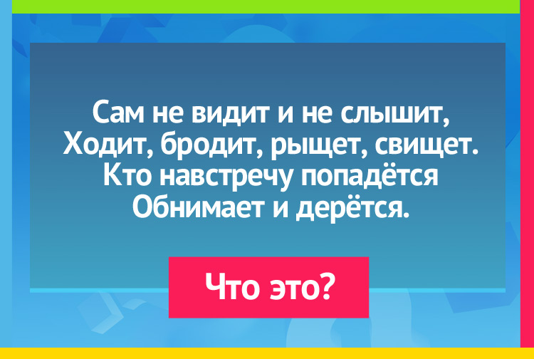 Загадка про ветер. Сам не видит и не слышит, Ходит, бродит, рыщет, свищет. Кто навстречу попадётся Обнимает и дерётся.