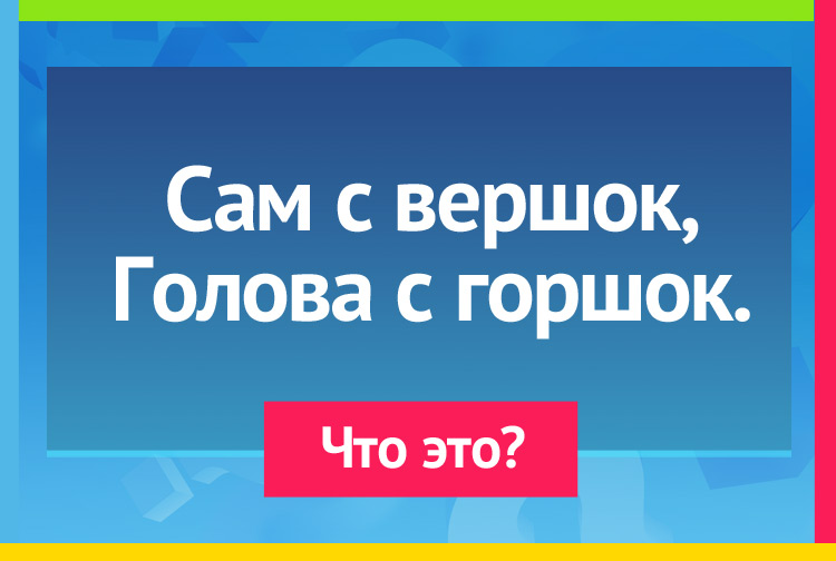 Загадка про ковш. Сам с вершок, Голова с горшок.