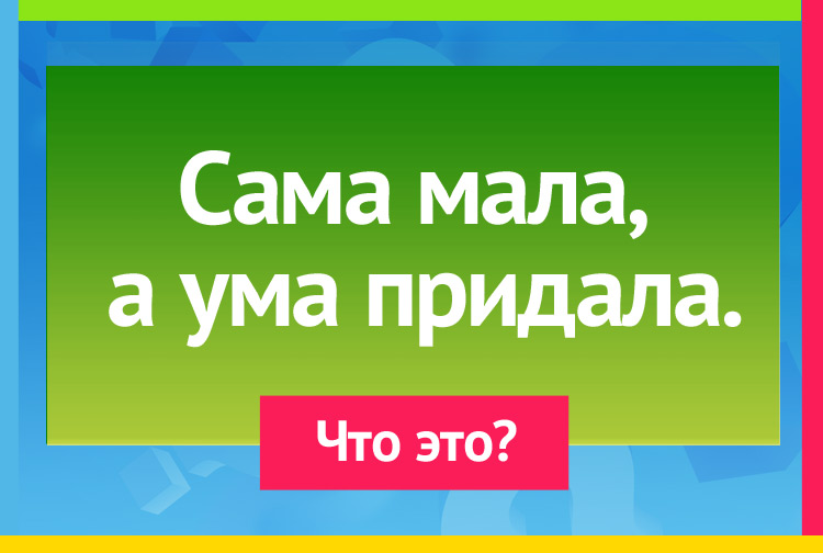 Загадка про книгу. Сама мала, а ума придала.