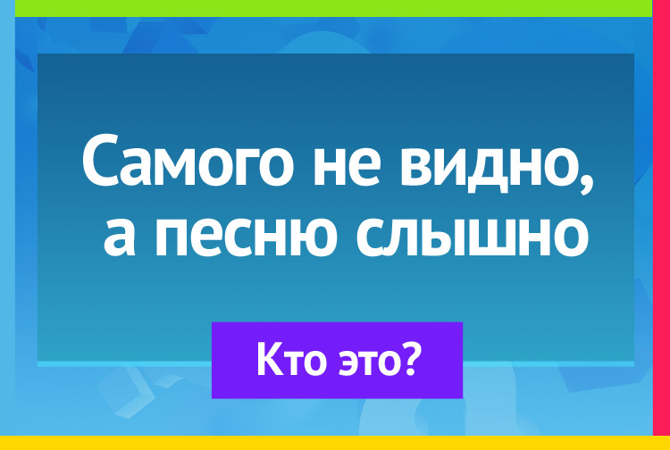 Загадка про комар. Самого не видно, А песню слышно.