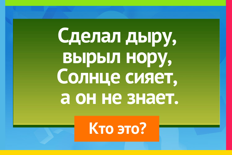 Загадка про крота. Сделал дыру, вырыл нору, Солнце сияет, а он не знает.