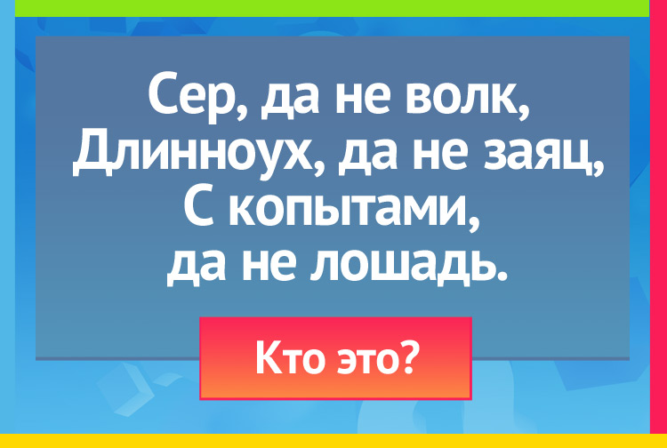 Загадка про осла. Сер, да не волк, Длинноух, да не заяц, С копытами, да не лошадь.