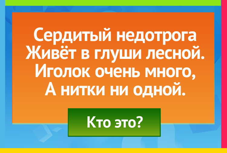 Загадка про ежика. Сердитый недотрога Живёт в глуши лесной. Иголок очень много, А нитки ни одной.