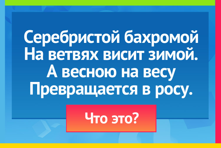 Загадка про иней. Серебристой бахромой На ветвях висит зимой. А весною на весу Превращается в росу.