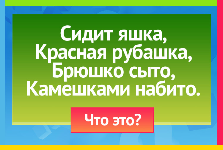 Загадка про шиповник. Сидит яшка, Красная рубашка, Брюшко сыто, Камешками набито.