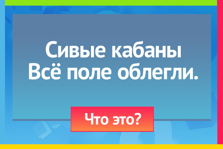 Загадка про Туман. Сивые кабаны Всё поле облегли.