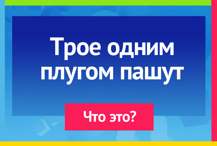 Загадка про Пишущая рука. Трое одним плугом пашут.