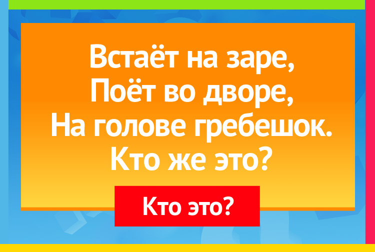 Загадка про петушка. Встаёт на заре, Поёт во дворе, На голове гребешок. Кто же это?