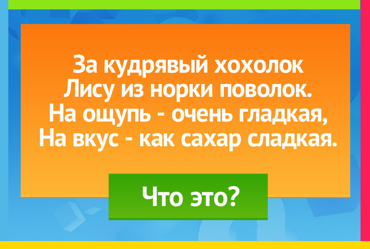 Загадка про морковь. За кудрявый хохолок Лису из норки поволок. На ощупь - очень гладкая, На вкус как сахар сладкая.