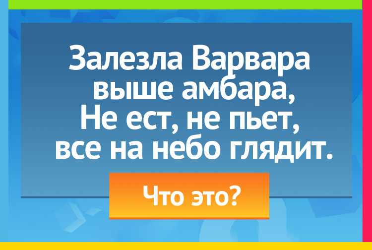 Загадка про трубу. Залезла Варвара выше амбара, Не ест, не пьет, все на небо глядит.