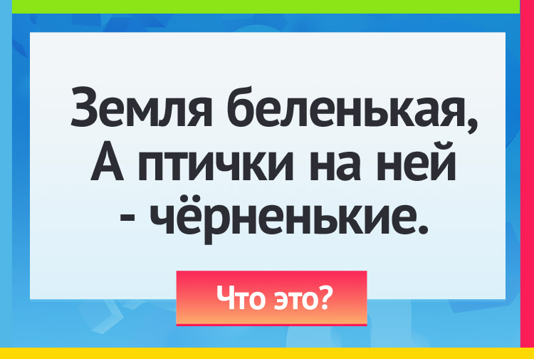 Загадка про бумагу и буквы. Земля беленькая, А птички на ней чёрненькие.