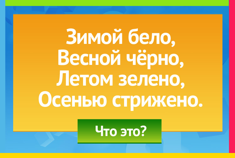 Загадка про поле. Зимой бело, Весной чёрно, Летом зелено, Осенью стрижено.