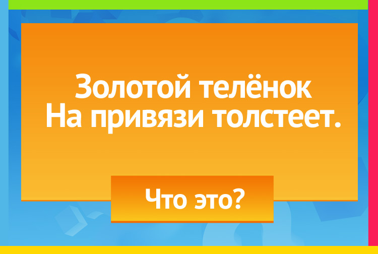 Загадка про дыню. Золотой теленок, На привязи толстеет.