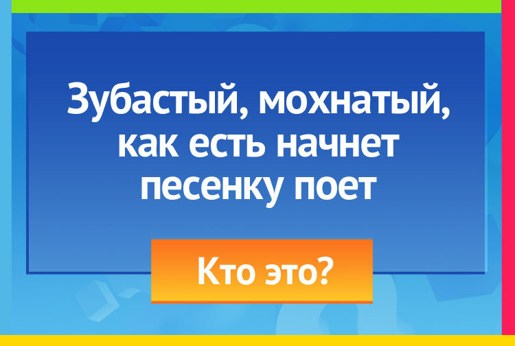 Загадка про кота. Зубастый, мохнатый, как есть начнет - песенку поет.